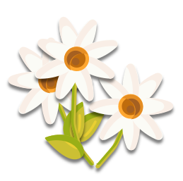 Les fleurs sont blanches